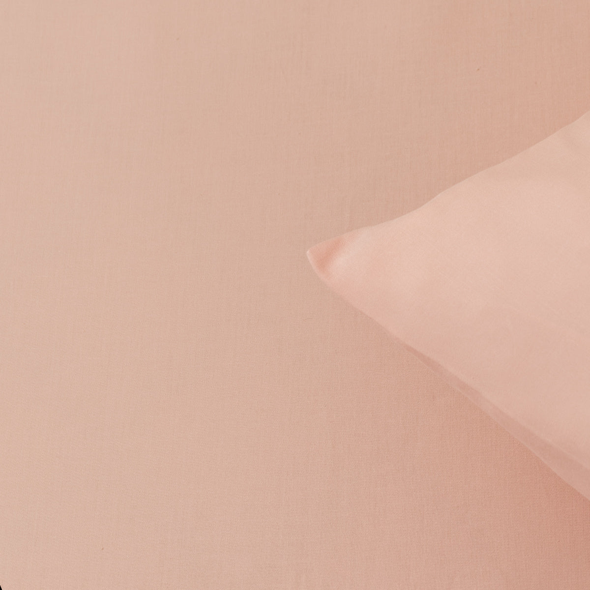 Solid Cotton Flat Sheet - Blush Pink