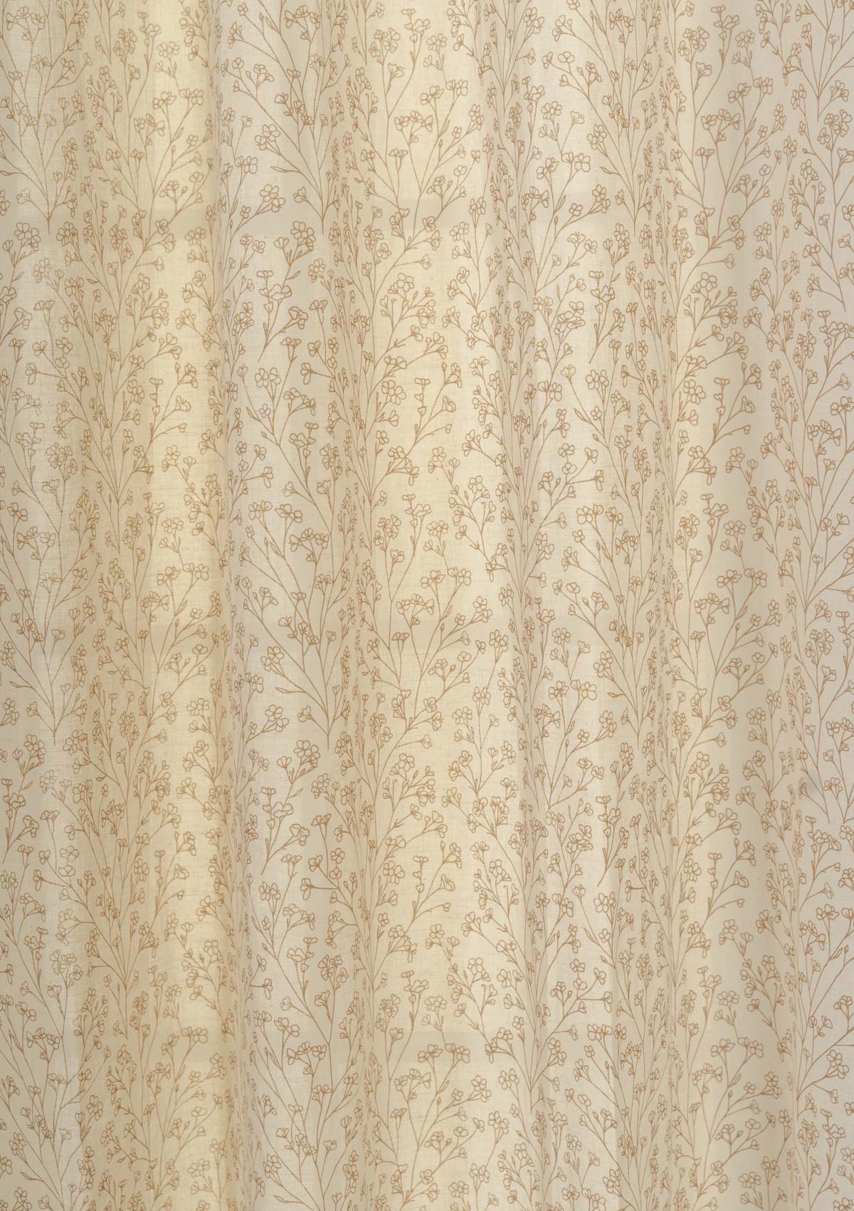 Canopy 100% cotton floral sheer curtain for living room - Light filtering - Brown - Single - Pack of 1