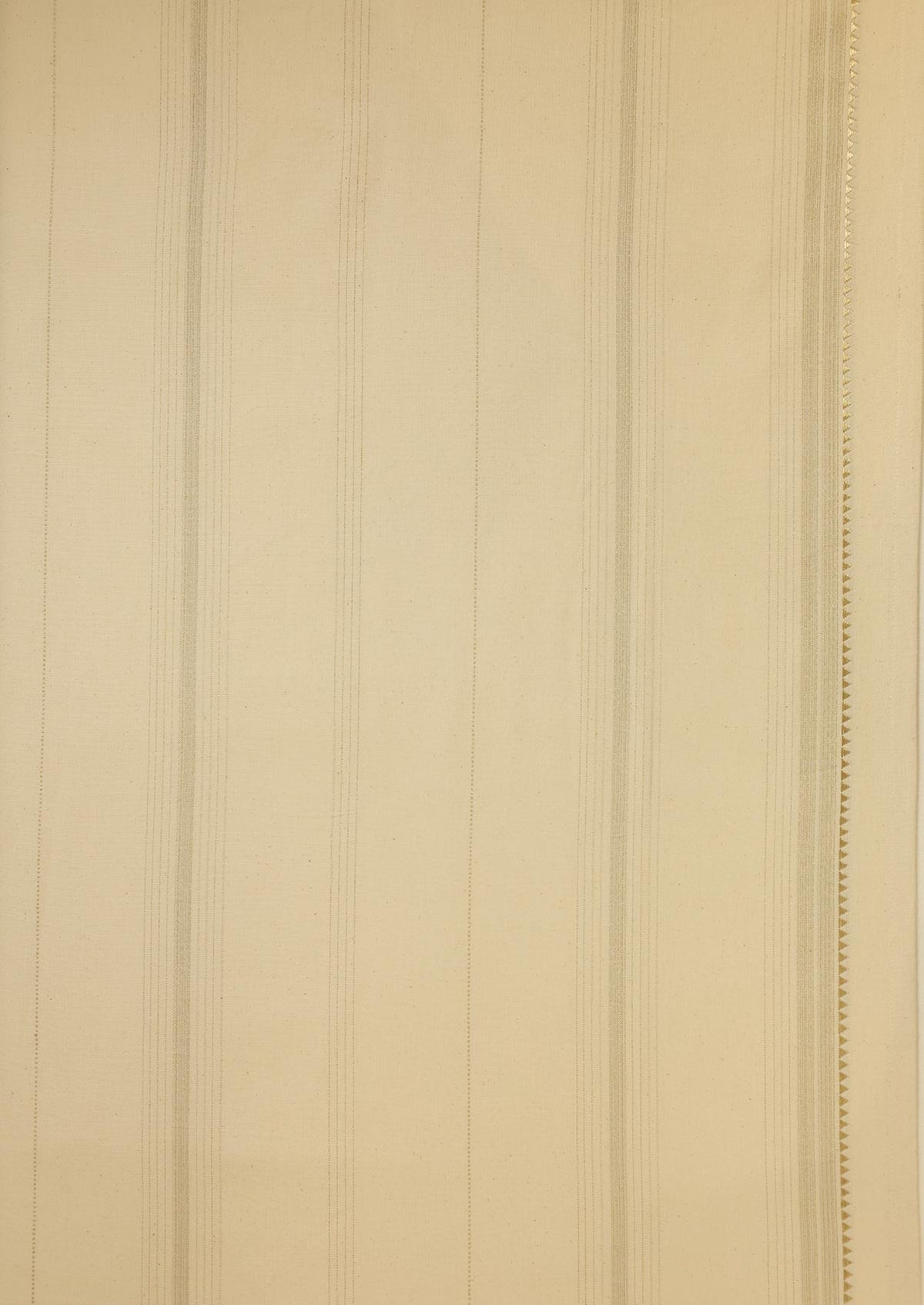 Daaram Gold & Beige | 100% Cotton Woven Textured | Light Reduction Fabric