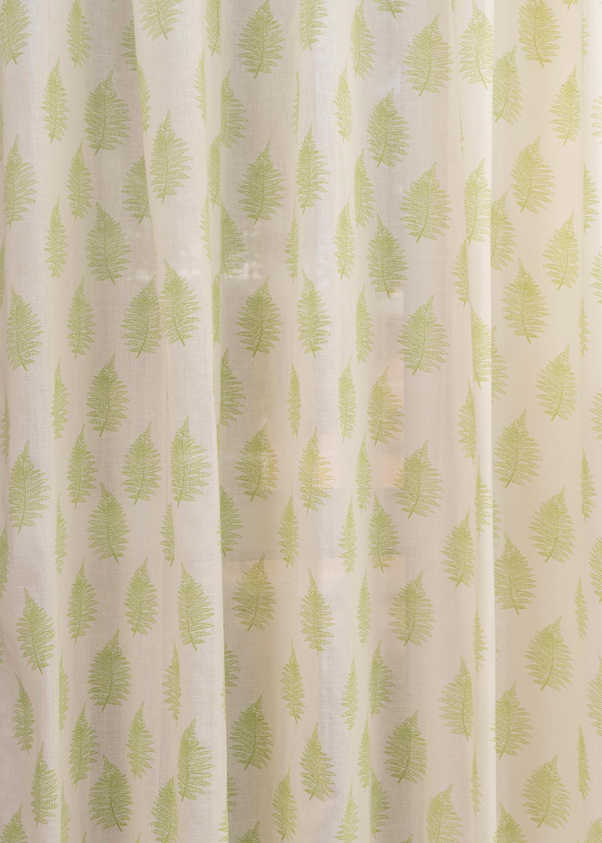 Floating Ferns Printed Sheer Curtain - Green
