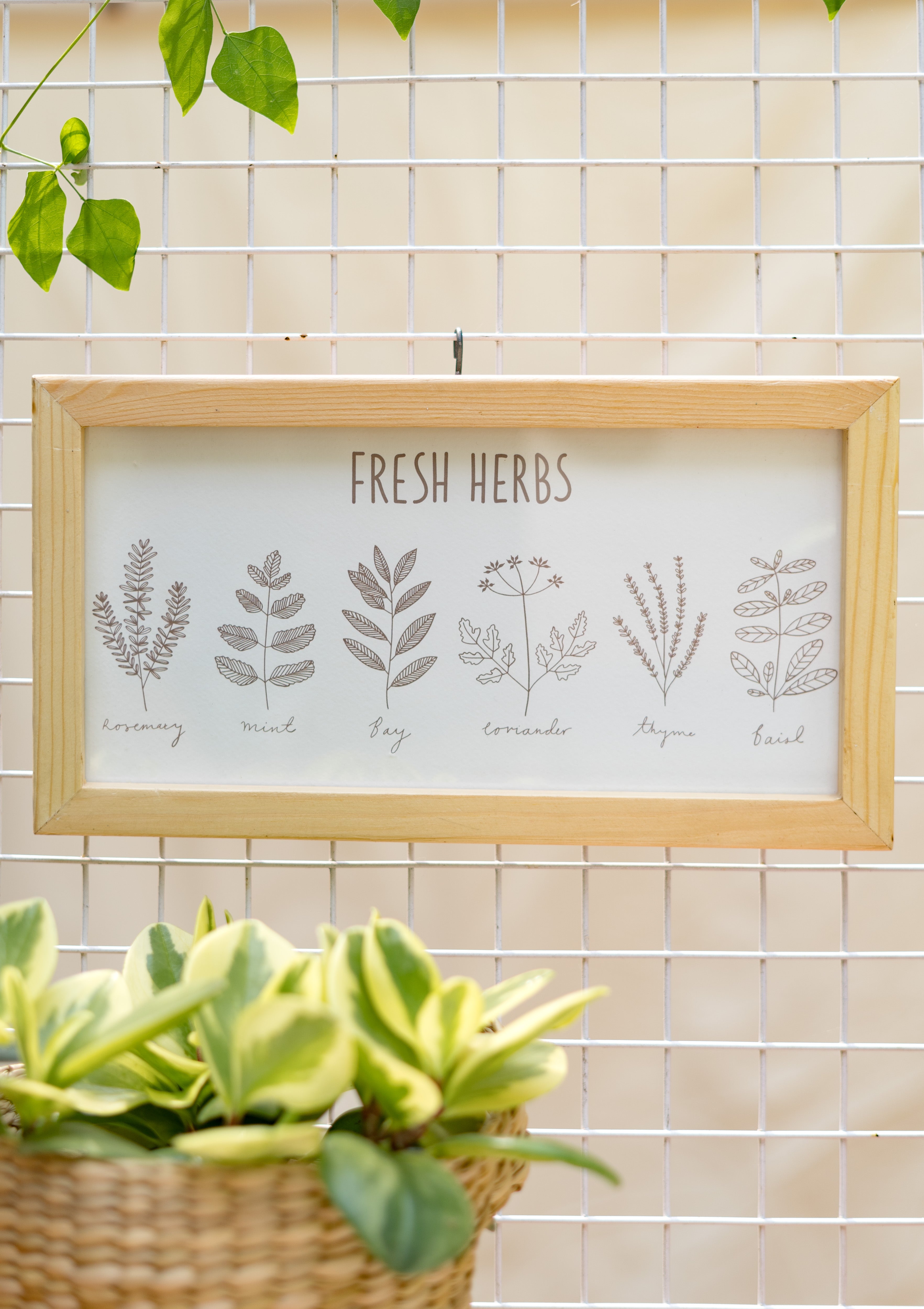 Fresh Herbs