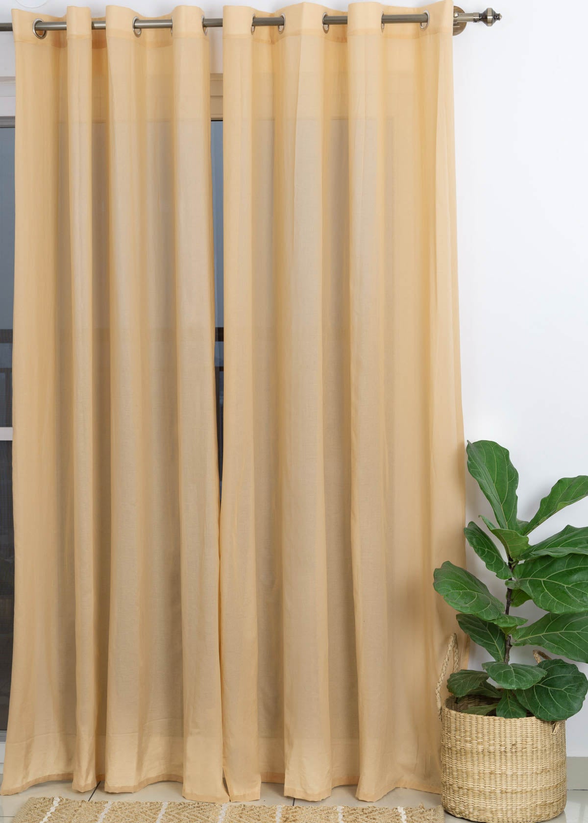 Latte Cotton Sheer Curtain  - Single