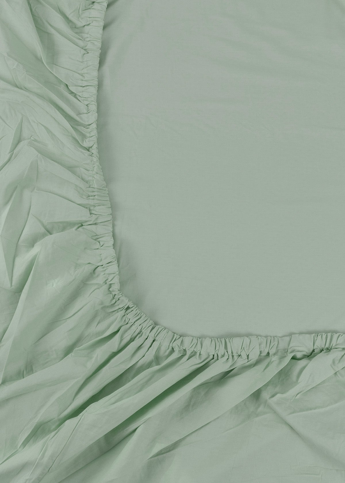 Solid Cotton Fitted Sheet - Mint