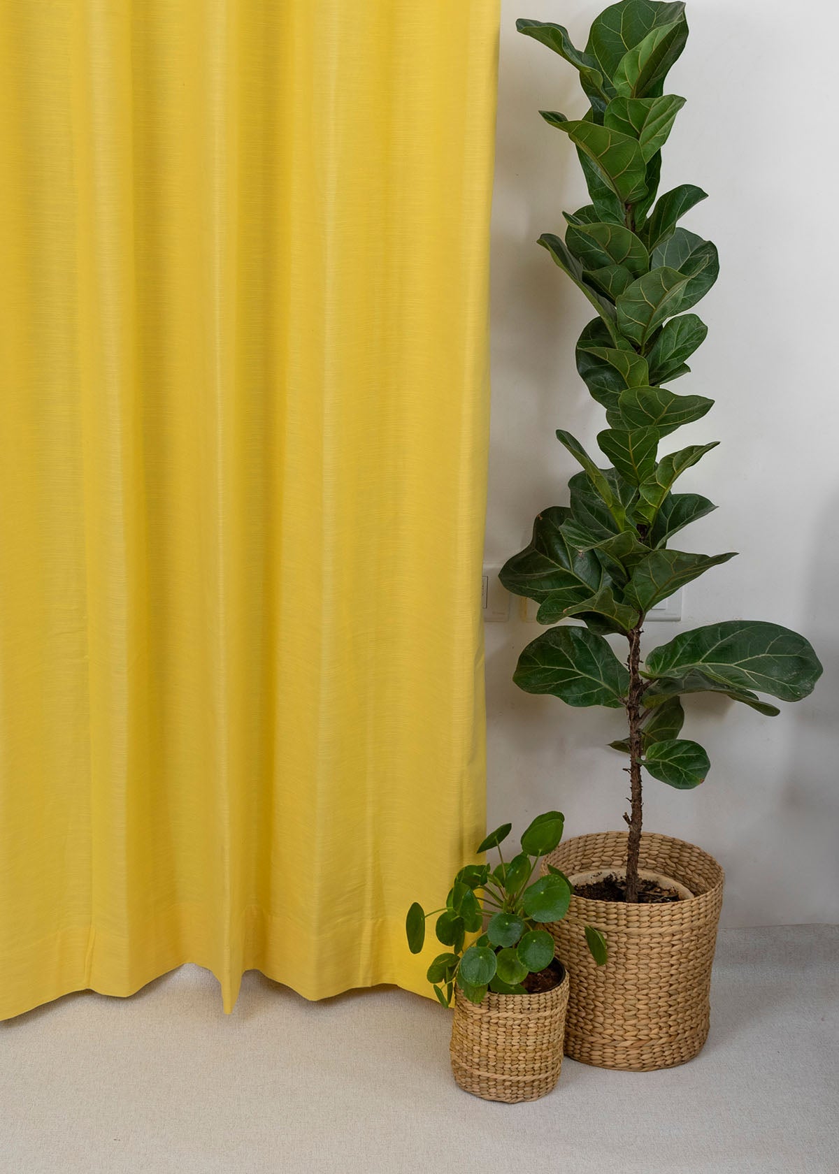 Solid Primrose yellow 100% Customizable Cotton plain curtain for bedroom - Room darkening