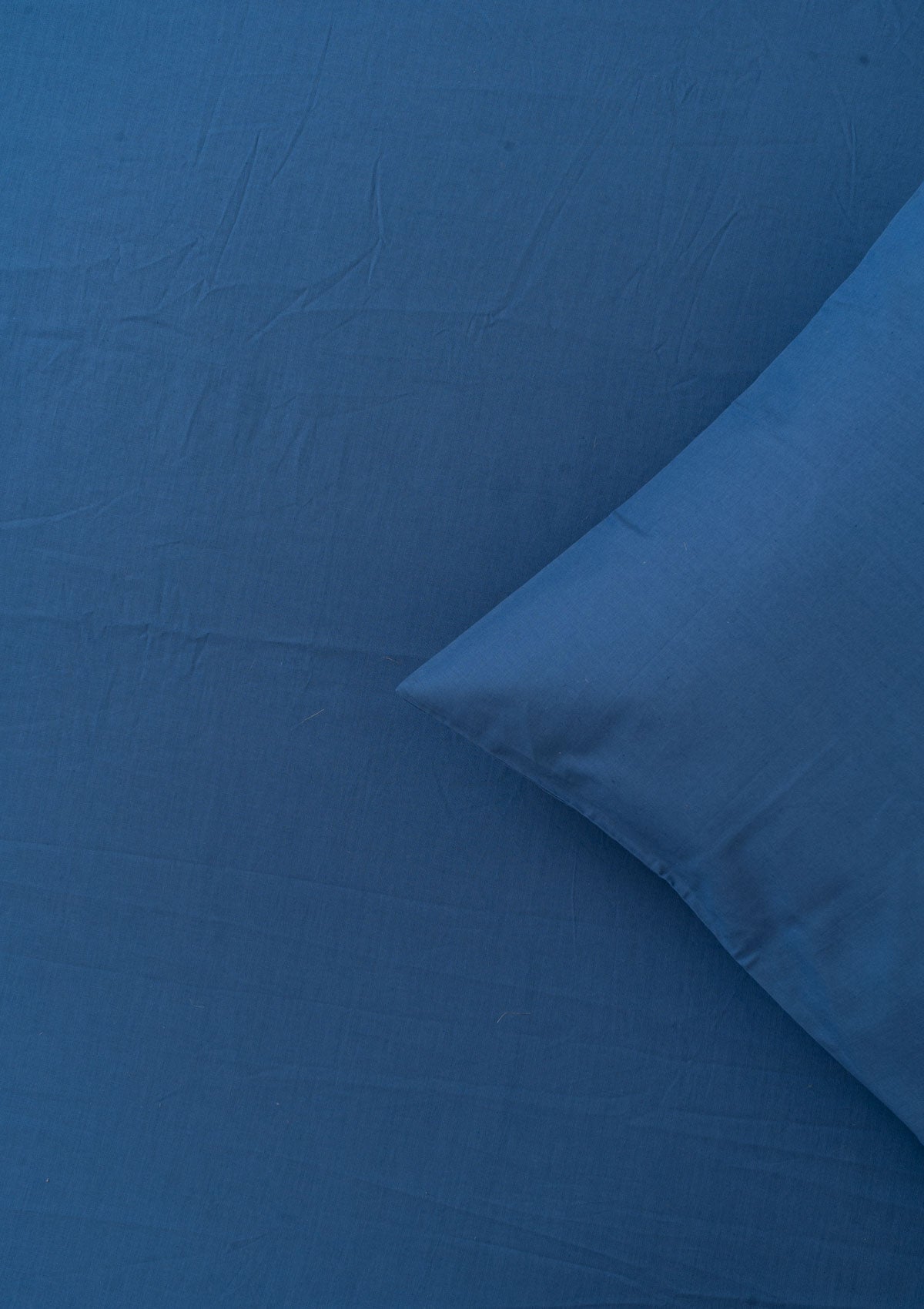 Solid Flat sheet - Royal Blue