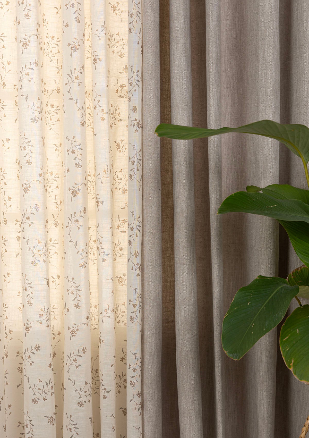 Toffee Textured Light Filtering & Field Printed Sheer Room Darkening | 100% Cotton for Living Room & Bedroom | Floral | Brown | Pack of 4