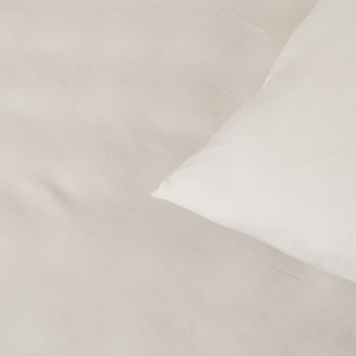 Solid Cotton Flat Sheet - Warm White
