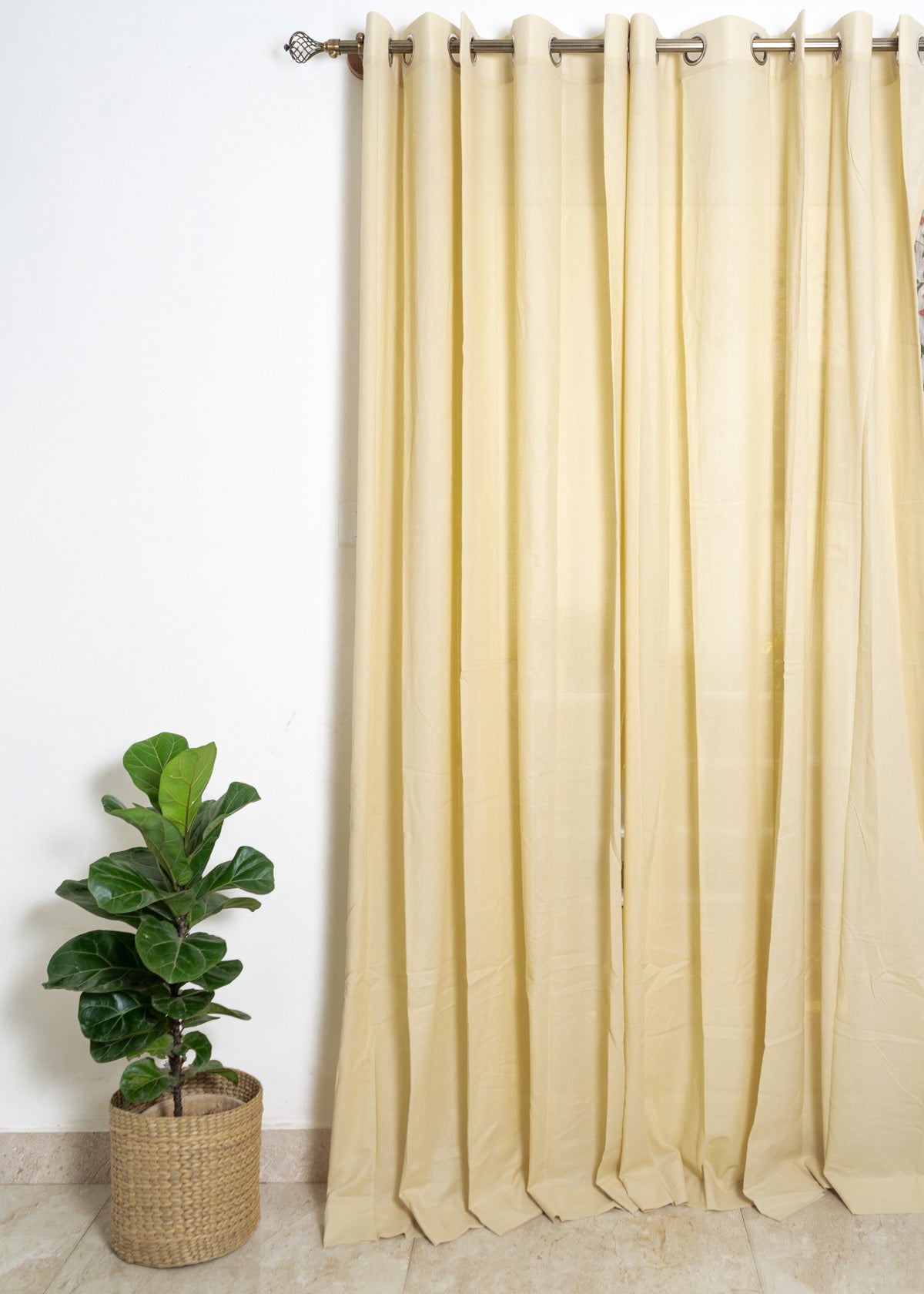 Beige Cotton Sheer Curtain  - Single
